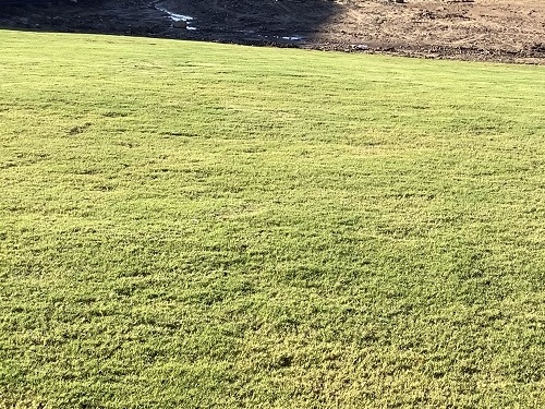Lawn Care & Maintenance