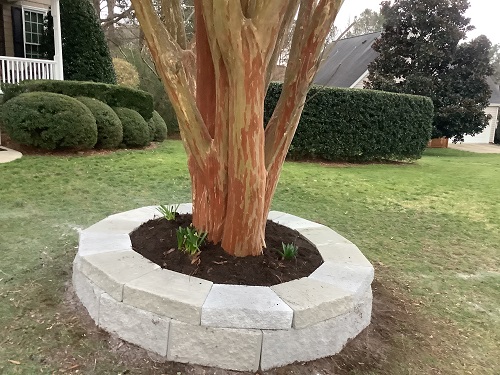 Smith Lawn